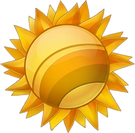 Sole